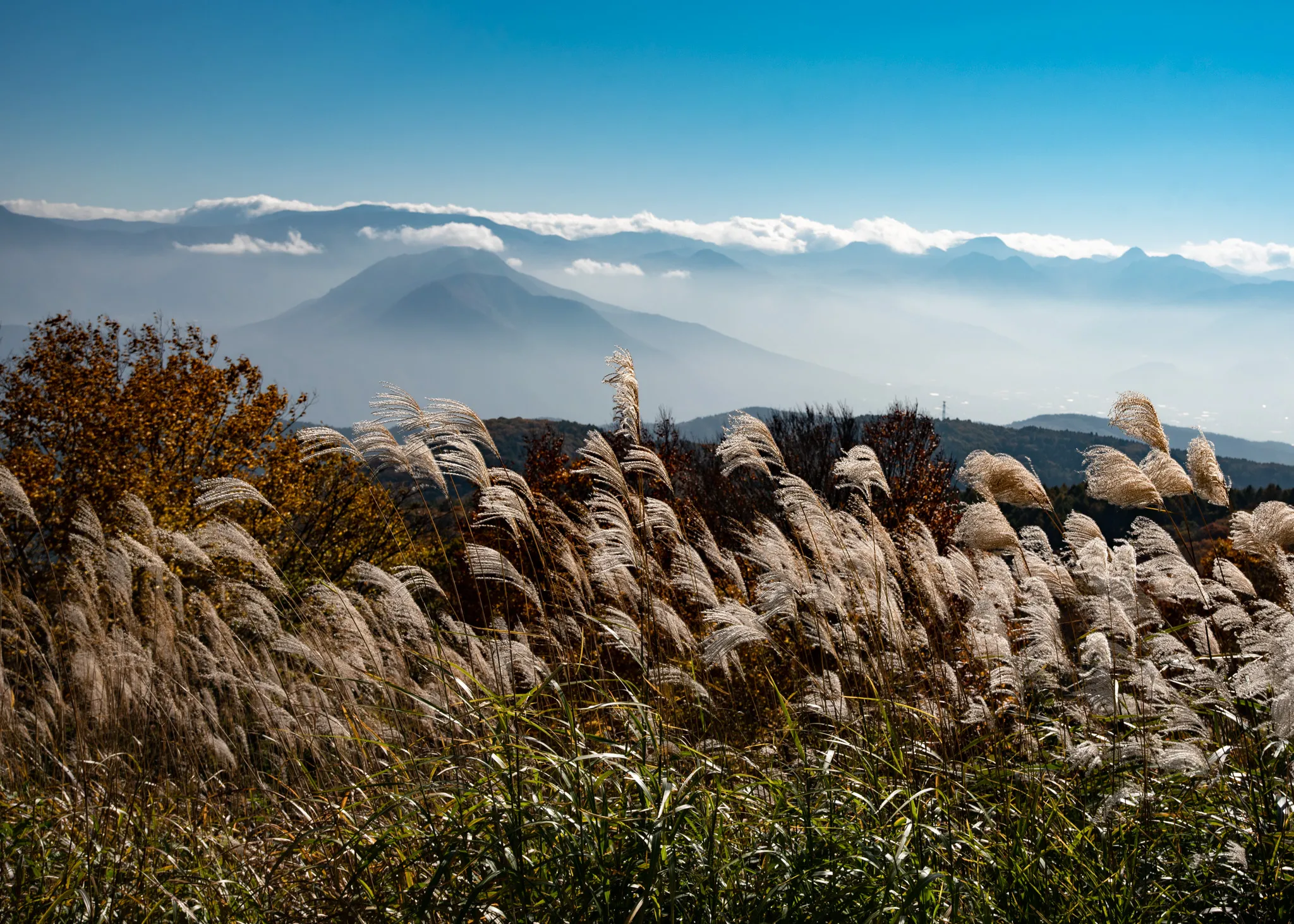 Japan, Alpen, Shinshu-Iiyama Tourism Bureau